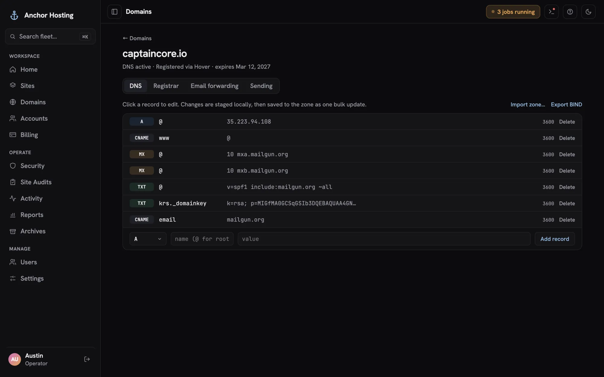 A domain DNS editor with A, CNAME, MX and TXT records