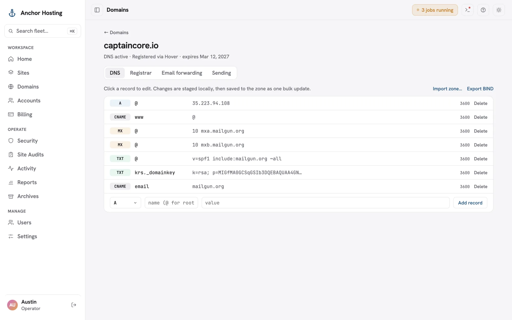 A domain DNS editor with A, CNAME, MX and TXT records