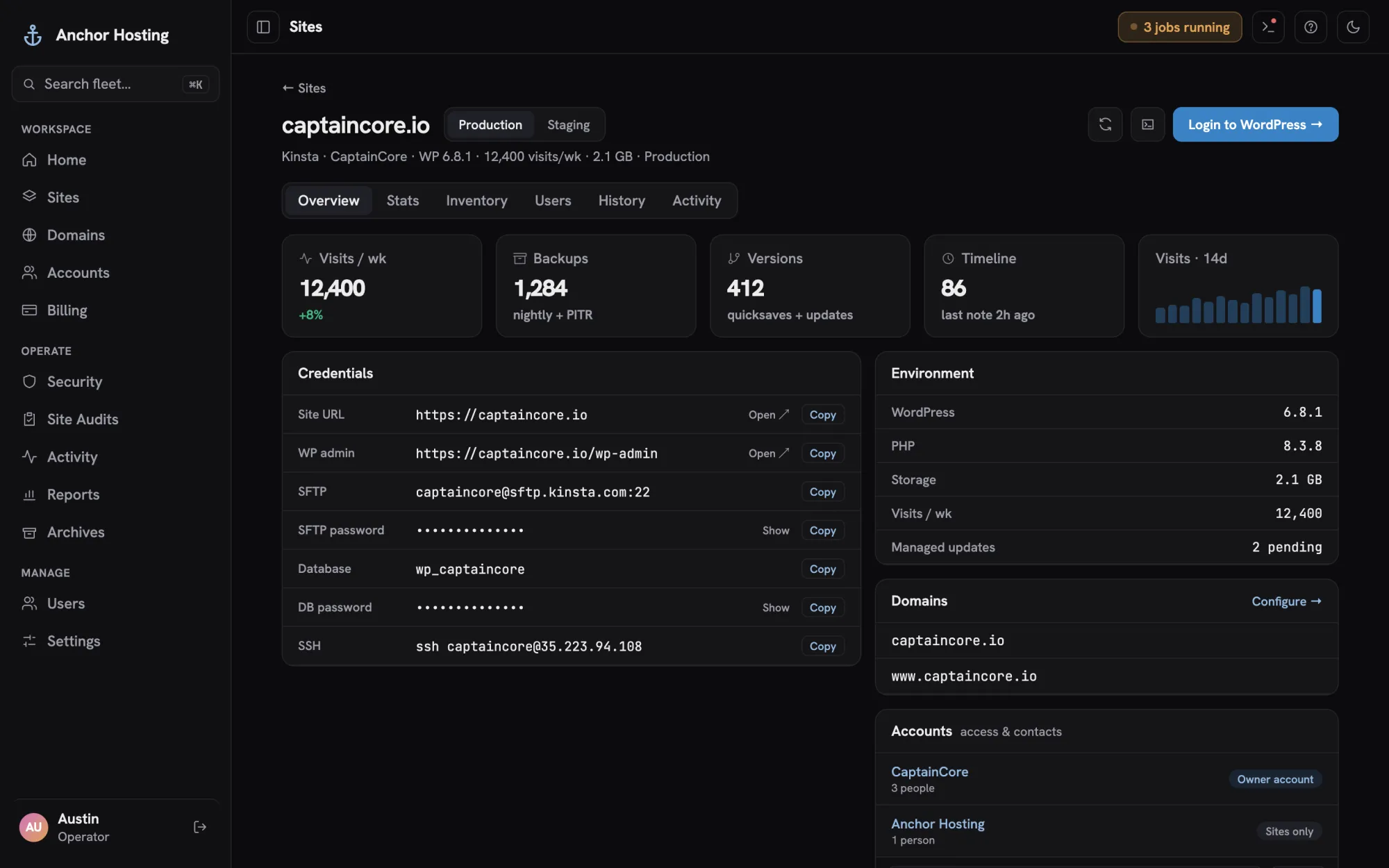 A site overview: credentials, environment details, domains and accounts
