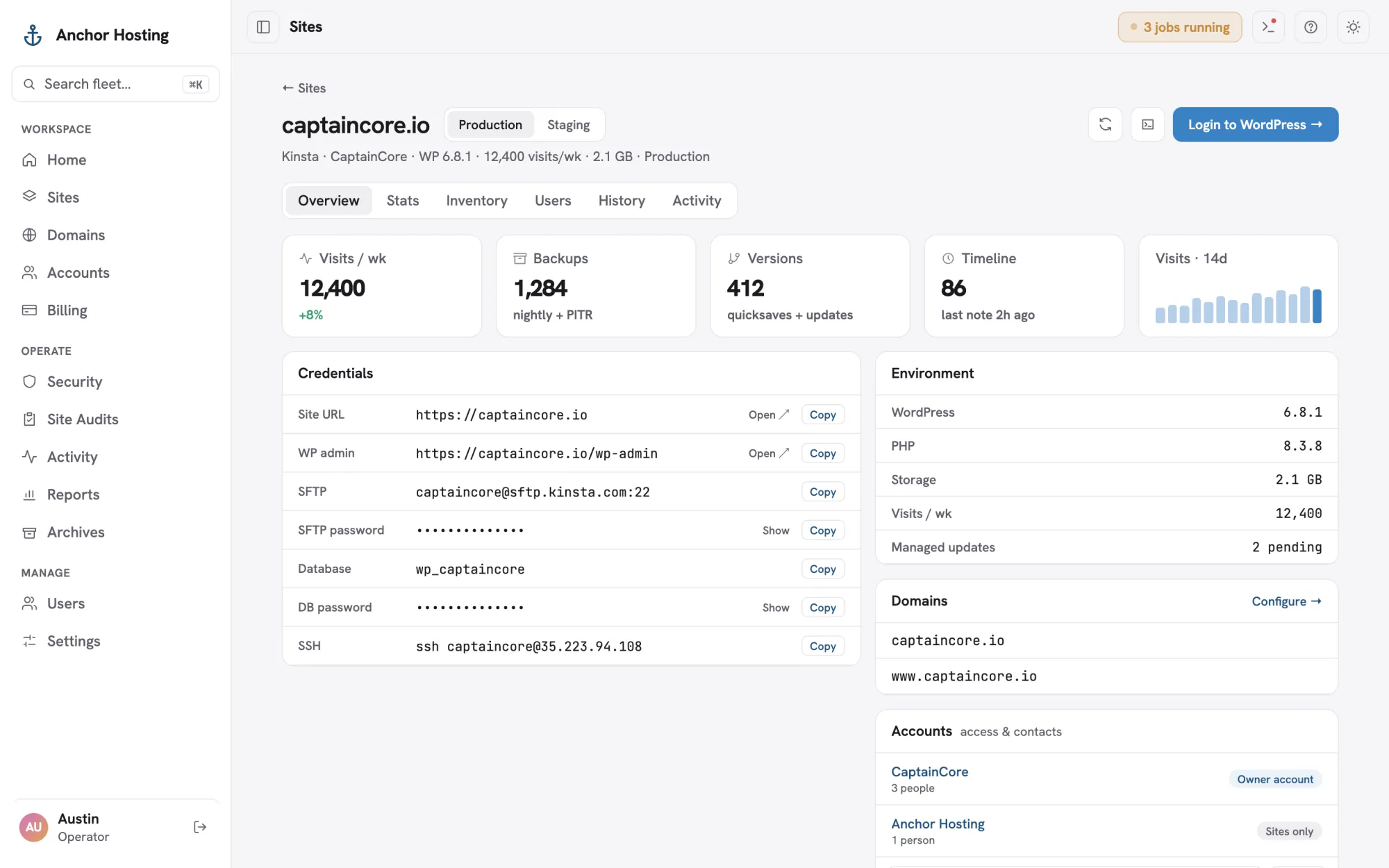 A site overview: credentials, environment details, domains and accounts
