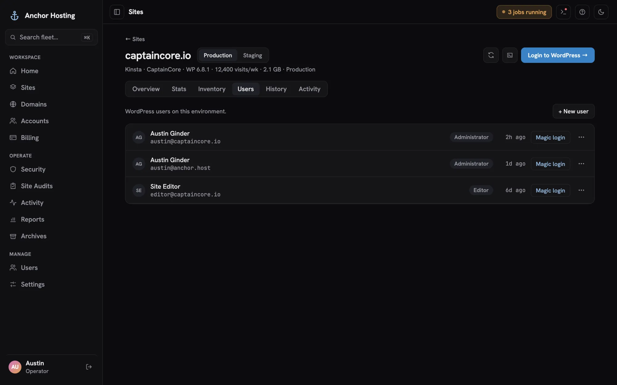 Site users tab with WordPress users and magic login links
