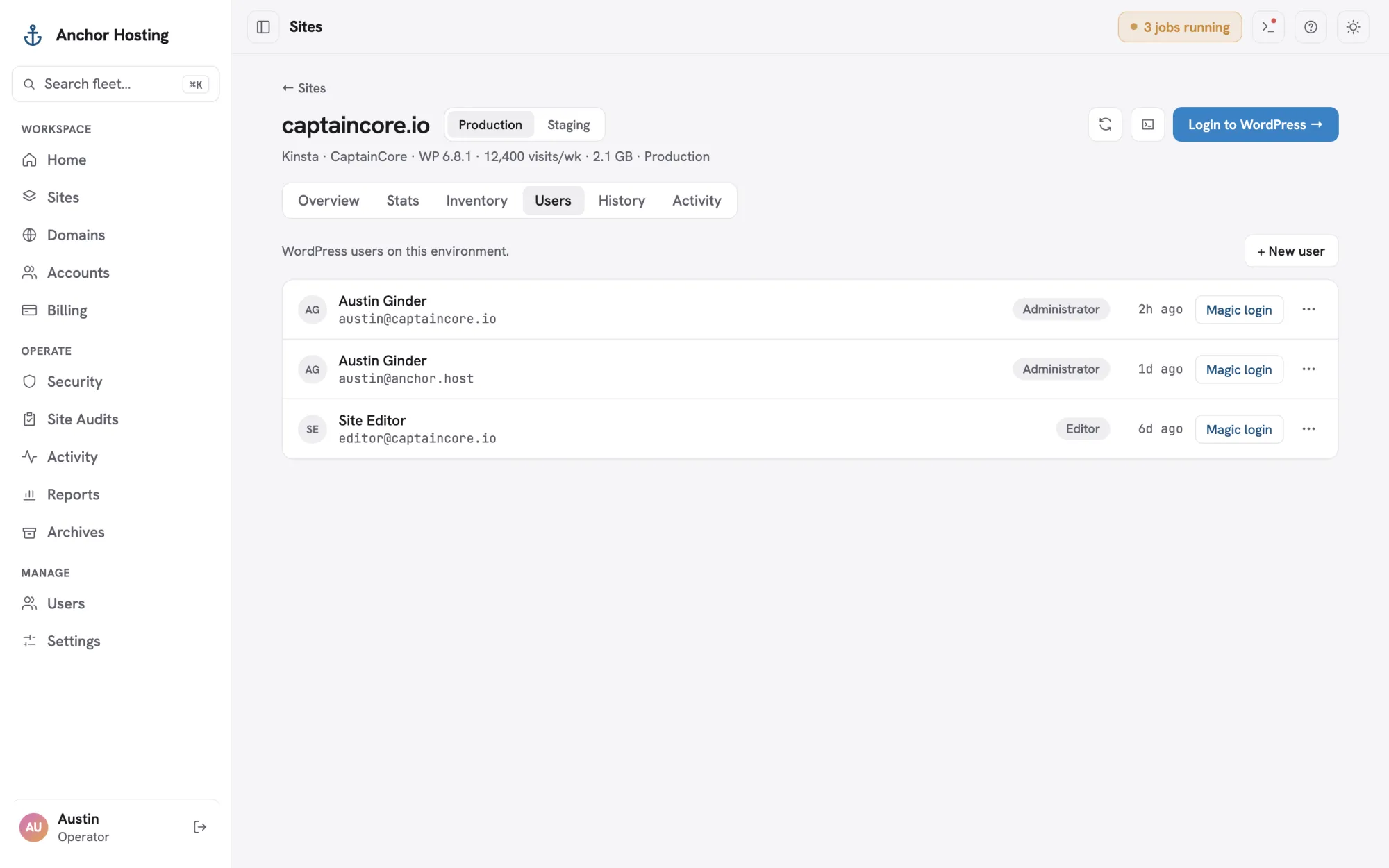 Site users tab with WordPress users and magic login links